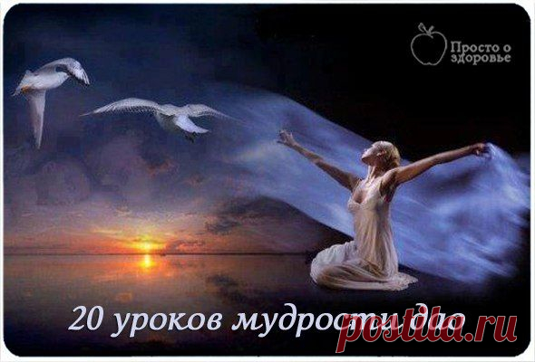 Дневник udacha001