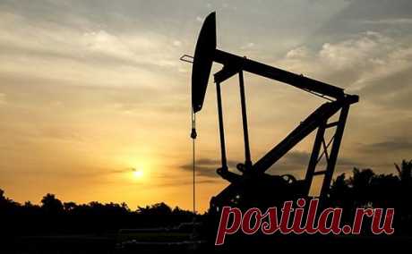 Аналитики предсказали сильнейшее падение цен на нефть за 30 лет :: Экономика :: РБК