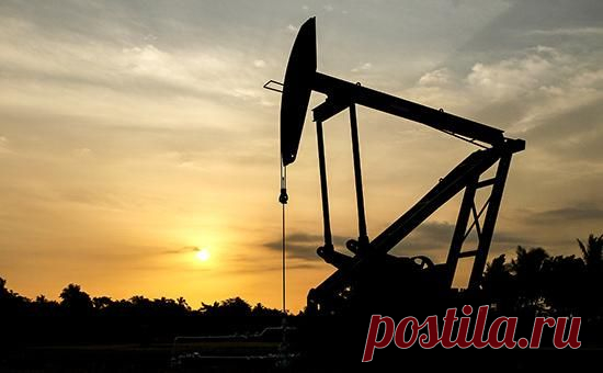 Аналитики предсказали сильнейшее падение цен на нефть за 30 лет :: Экономика :: РБК