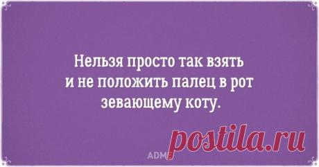 20 открыток о нелегкой жизни котов и их владельцев: ↪ Все правда!