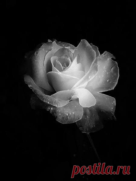 (28) Pinterest