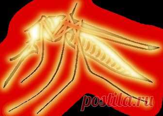 СПАСЕНИЕ ОТ КОМАРОВ