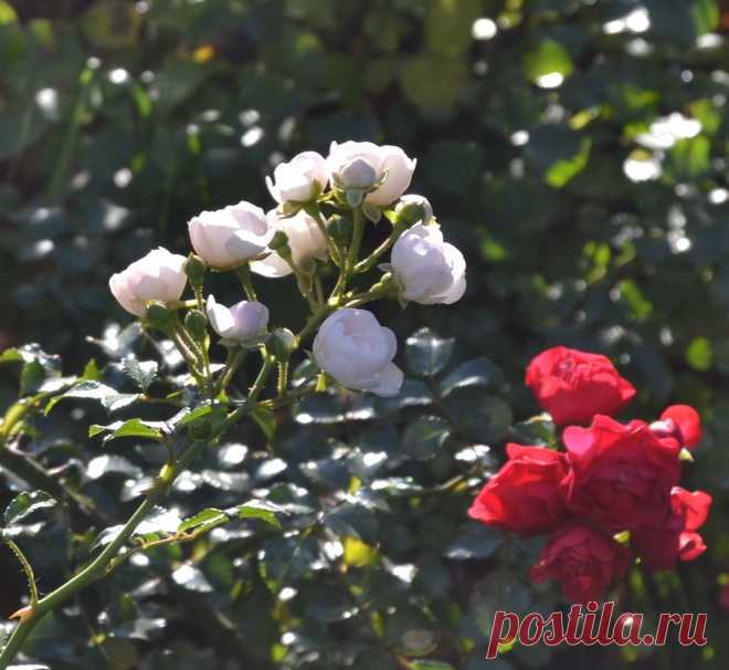 Доброе утро!