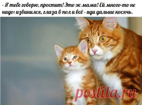 Мой Мир@Mail.Ru