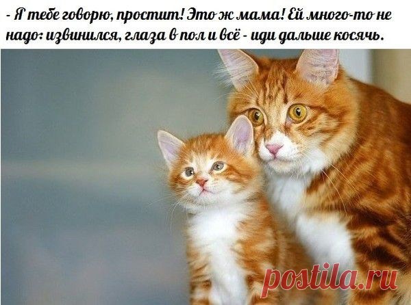 Мой Мир@Mail.Ru