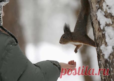 ФОТОГРАФИЯ КАК БИОГРАФИЯ НАШЕГО МИРА
