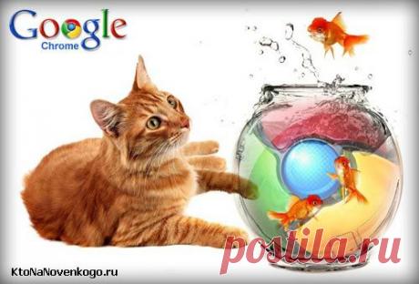 Google Chrome — возможности браузера и его настройки, о которых вы даже не догадывались | KtoNaNovenkogo.ru - создание, продвижение и заработок на сайте