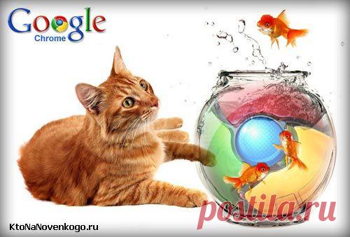 Google Chrome — возможности браузера и его настройки, о которых вы даже не догадывались | KtoNaNovenkogo.ru - создание, продвижение и заработок на сайте