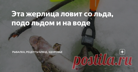 Эта жерлица ловит со льда, подо льдом и на воде Из множества конструкций зимних жерлиц можно выделить одну снасть, которая обладает совершенно уникальными возможностями. Она – три в одном. Что это означает? А означает это полную универсальность этой жерлицы, на которую можно ловить хищника со льда, подо льдом и на воде в качестве знаменитой летней жерлицы-рогульки. Эти снасти у меня уже несколько лет, и я успел отметить для себя все их