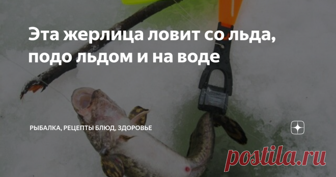 Эта жерлица ловит со льда, подо льдом и на воде Из множества конструкций зимних жерлиц можно выделить одну снасть, которая обладает совершенно уникальными возможностями. Она – три в одном. Что это означает? А означает это полную универсальность этой жерлицы, на которую можно ловить хищника со льда, подо льдом и на воде в качестве знаменитой летней жерлицы-рогульки. Эти снасти у меня уже несколько лет, и я успел отметить для себя все их