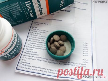 Средство от мочекаменной болезни и инфекций HIMALAYA Цистон - «Цистон работает, но лучше принимать в комплексном лечении. Есть противопоказания!» | Отзывы покупателей