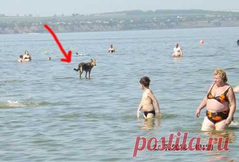 Фото дня )))