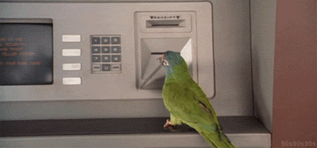 belles images animaux - Page 6