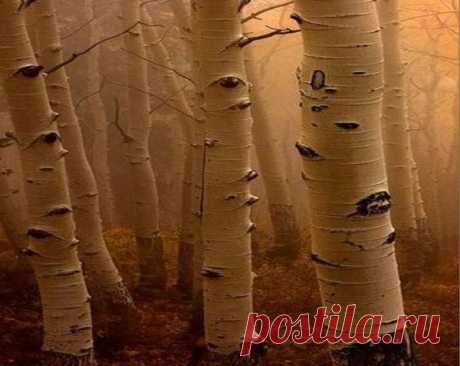 ☼ Мир Красоты и Хорошего Настроения! - Группы Мой Мир