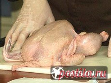 Как приготовить куриный рулет? Мастер-класс.