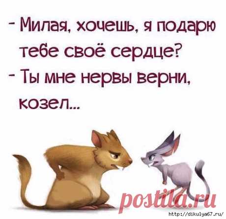 ПОДНИМАЕМ НАСТРОЕНИЕ...