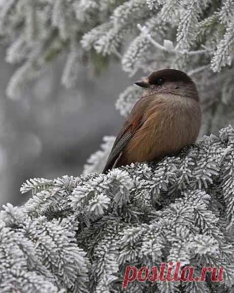 .It is wonderful world!