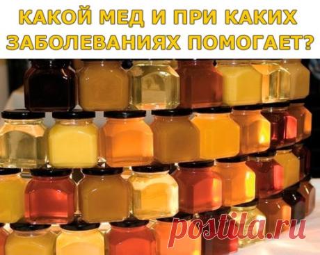 КАКОЙ МЕД И ПРИ КАКИХ ЗАБОЛЕВАНИЯХ ПОМОГАЕТ?
Акациевый.
Особенно полезен мужчинам, а также при заболеваниях почек и мочевыводящих путей.
Горчичный.
Заболевания дыхательных путей, используется как мочегонное средство.
Гречишный.
Содержит много железа и белка: очищает сосуды, способствует регенерации поврежденных тканей, повышает уровень гемоглобина. Рекомендуется беременным женщинам и людям, страдающим хроническими гастритами с повышенной кислотностью.
Каштановый.
Помогает при желудочно-кишечных
