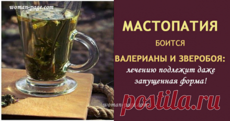 Мастопатия боится валерианы и зверобоя: лечению подлежит даже запущенная форма!