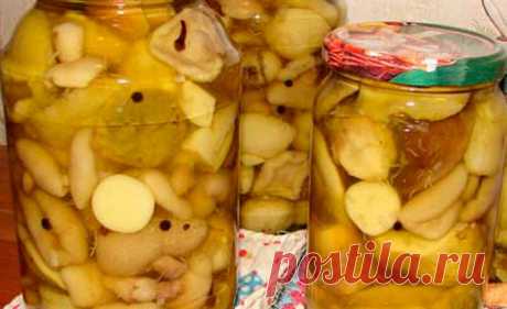 Хрустящие шампиньоны с чесноком и кориандром | Recept-Fresh Съедобные шампиньоны благодаря своей плодовитости являются самыми культивируемыми грибами в мире. В этих грибах находится 20 видов аминокислот, без которых