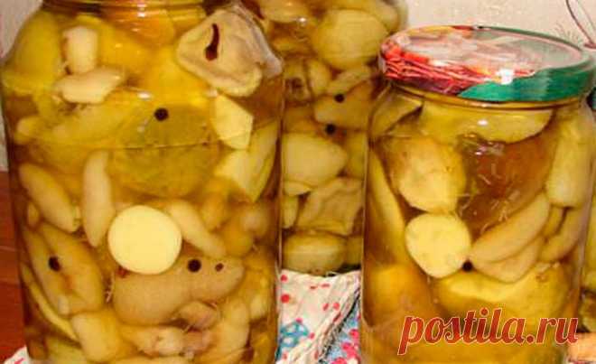 Хрустящие шампиньоны с чесноком и кориандром | Recept-Fresh Съедобные шампиньоны благодаря своей плодовитости являются самыми культивируемыми грибами в мире. В этих грибах находится 20 видов аминокислот, без которых