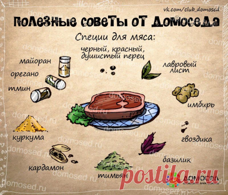 fullsize.jpg (800×683)