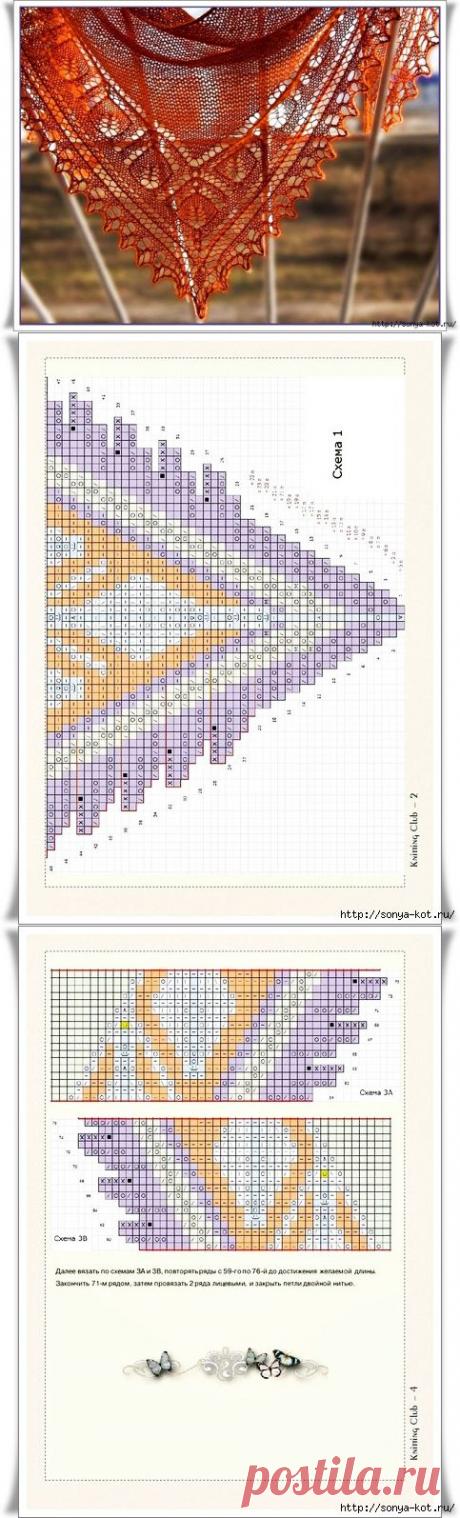 Шаль Ижица.