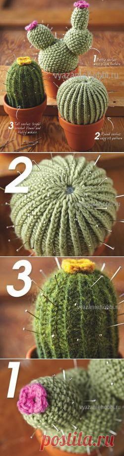 Вязаные кактусы спицами |