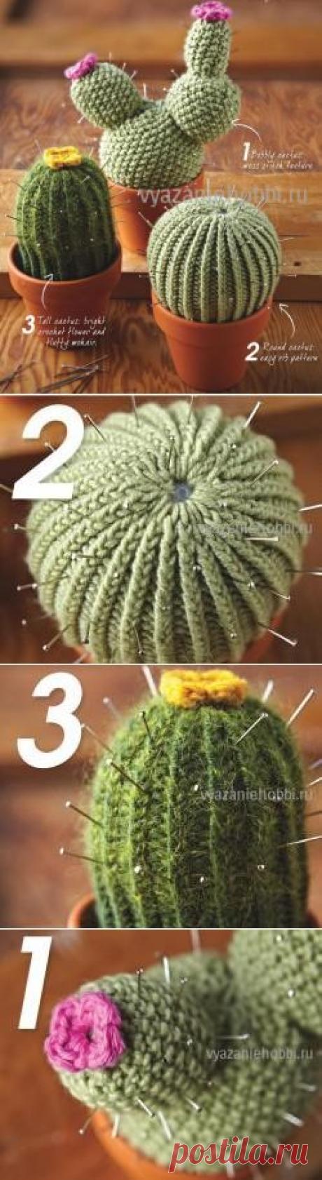 Вязаные кактусы спицами |