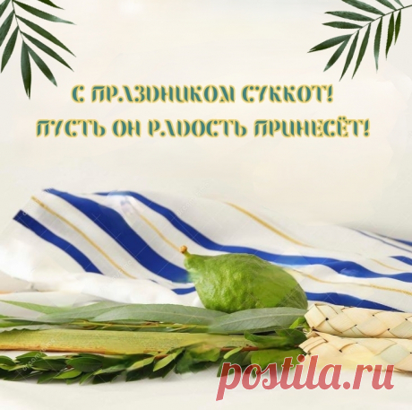 Поздравляю с праздником Суккот! Пусть твой шатёр укроет тебя от всех бед, пусть все твои мысли и деяния будут полны света и доброты.