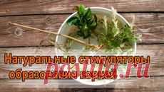 ПРИРОДНЫЕ СТИМУЛЯТОРЫ РОСТА