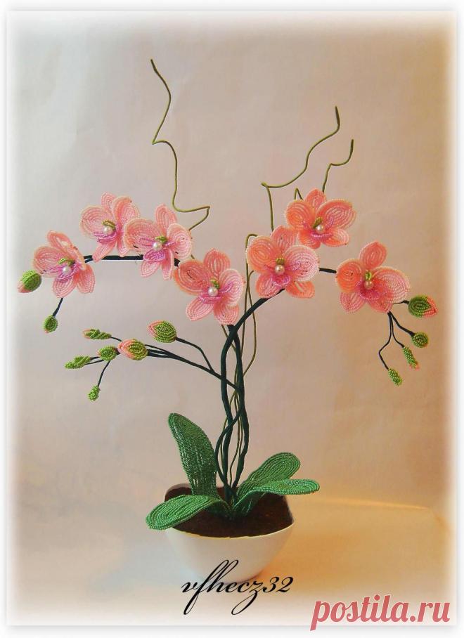 biser.info_45987_orkhideja_1388862597.jpg (1163×1600)