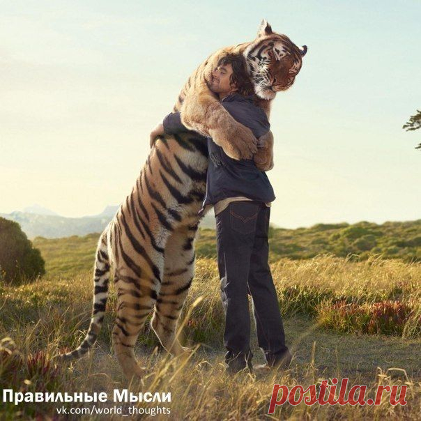 Доброта и нежность -  это не признак слабости и бессилия, а проявление силы и решимости / Восприятие бизнеса