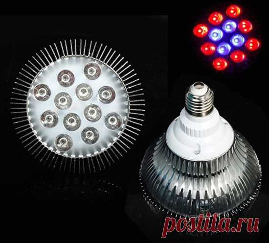 Фитолампы (фитосветильники) — лампы для растений и подсветки рассады