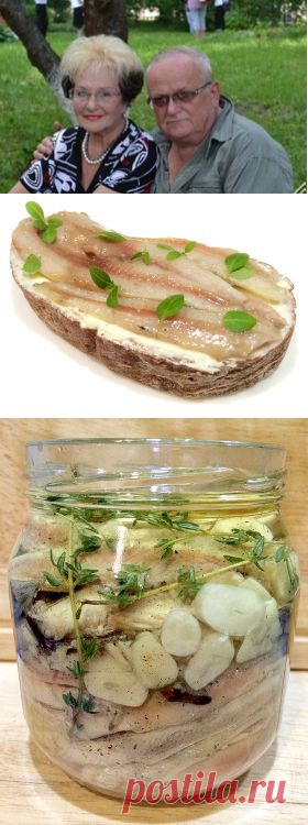 Шикарные анчоусы из дешёвой мойвы