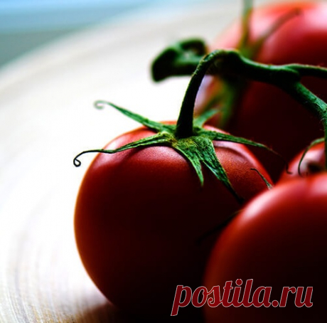 Как продлить жизнь томатам и собрать отличный урожай