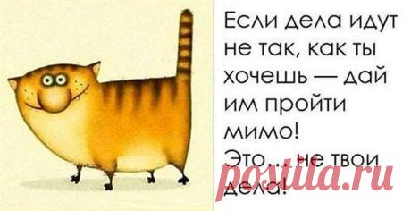 Юмор | Записи в рубрике Юмор | МОЙ СУНДУЧОК-ХРАНИЛИЩЕ.