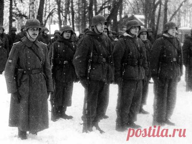 Вся Европа воевала против СССР: foto_history