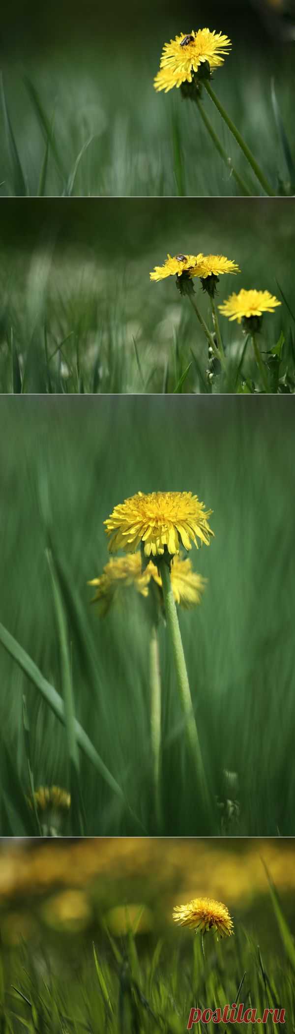 35PHOTO - Вадим Трунов - ***