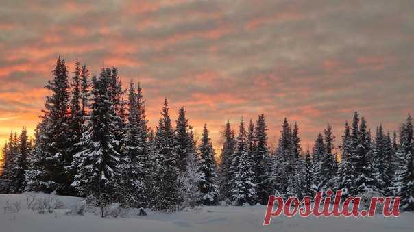 Фото дня на «Фото.Сайте»
Автор: дмитрий73

Другие работы автора: www.photosight.ru/users/427248/