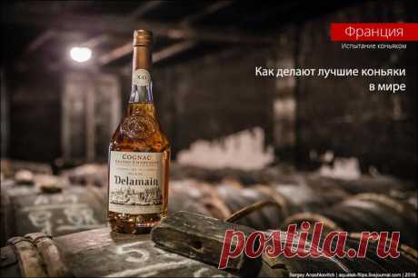 Как делают лучшие коньяки в мире