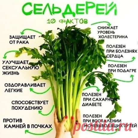 Вот почему в вашем рационе должно быть много зелени 🥬 

Запоминаем