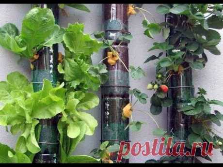 Используйте пластиковые бутылки в огороде! Поделки для дачи