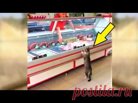 Эти кадры из Турции облетели весь мир! На это стоит посмотреть!