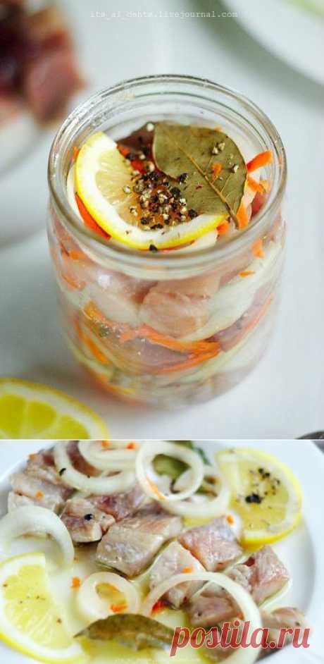 Без заголовка