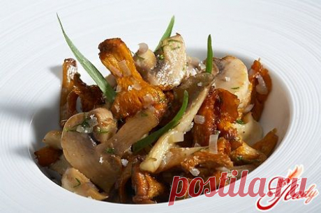 Фрикасе из курицы: рецепт приготовления