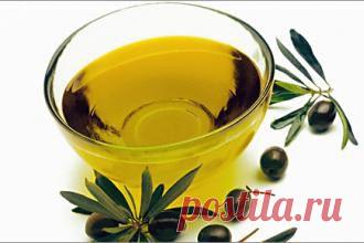 Здоровье Пользе оливкового масла для организма женщины