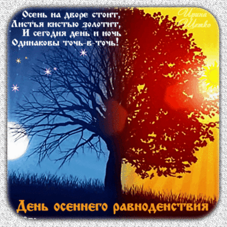 Любоваться красотой
Разукрашенных деревьев
Нынче нужно всей душой,
В чудеса и в счастье веря.