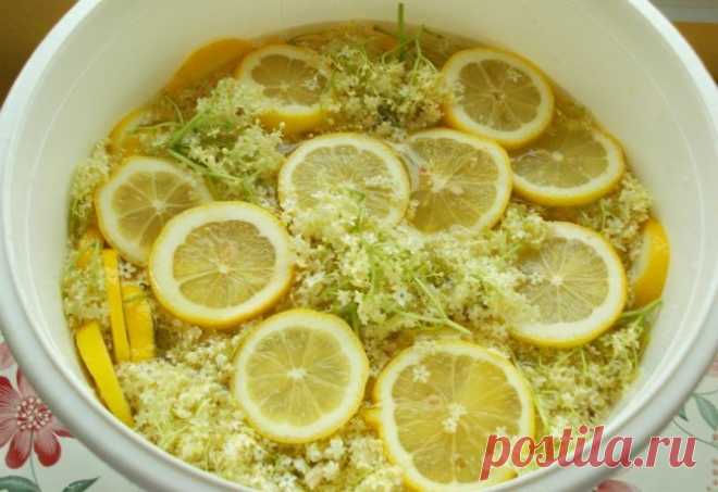 Sezóna bazy sa začala! Tento starý recept si babičky medzi sebou predávali celé desaťročia. Pôvodná receptúra je... Skvelá chuť, ktorá mnohým pripomína detstvo a vôňa, ktorej sa nič nevyrovná. To je lahodný bazový sirup, ktorý milujú hádam všetci, bez ohľadu na vek. Využite to najlepšie, čo nám príroda ponúka a pripravte si domáci lahodný sirup bez akýchkoľvek konzervantov, farbív alebo iných umelých látok. Bazový sirup je bezkonkurenčne tým najlepším, aký som kedy pila. Jeho