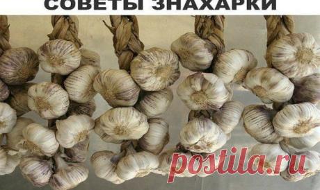 СТАРИННЫЕ ЗНАХАРСКИЕ СОВЕТЫ — Полезные советы